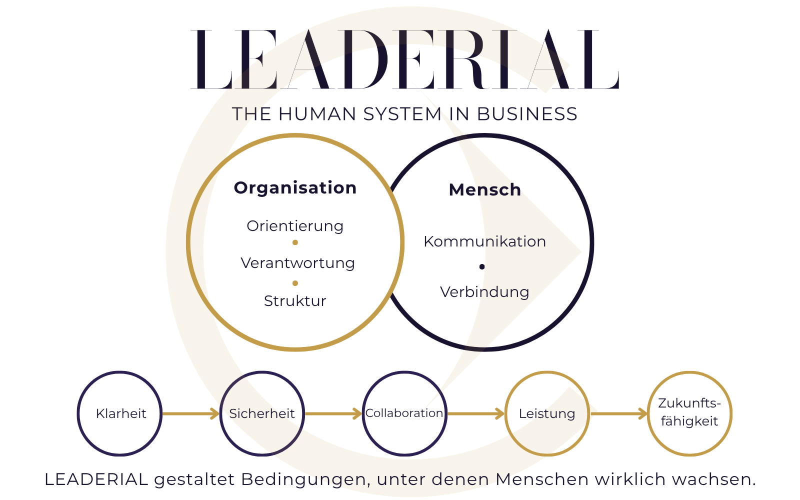 The LEADERIAL Framework: organisation and people as central systems, connected through clarity, structure, connection, accountability and orientation.